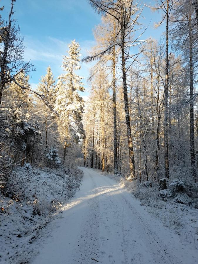 Fraenkische Linie - Radspitz-Ferienwohnungen Marktrodach Luaran gambar